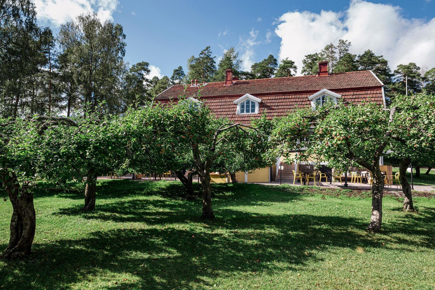 Tammiston Cottages Naantali Ngoại thất bức ảnh